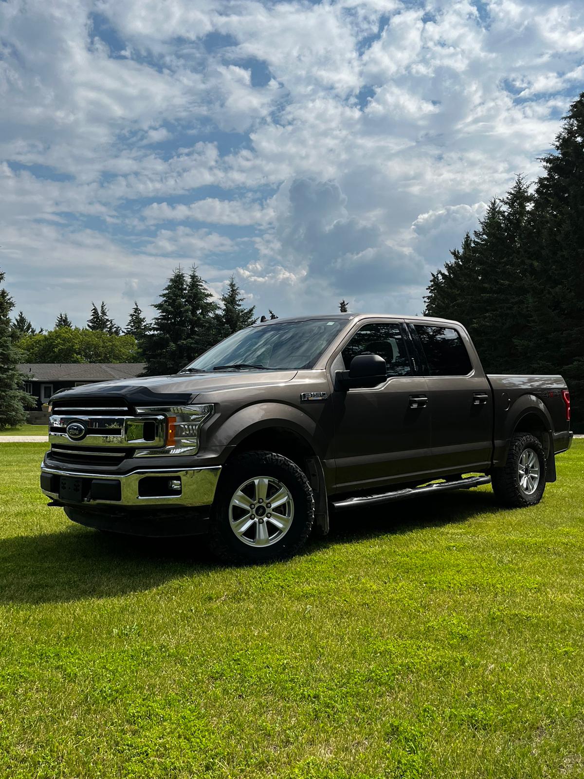 2019 Ford F-150 photo 2