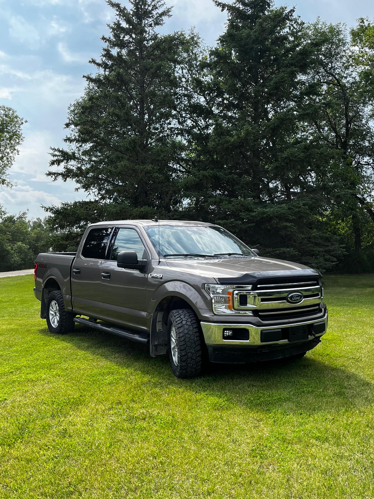 2019 Ford F-150 photo 9